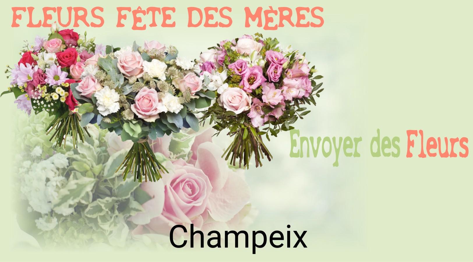 Bouquet de Fête des Mères livré à Champeix